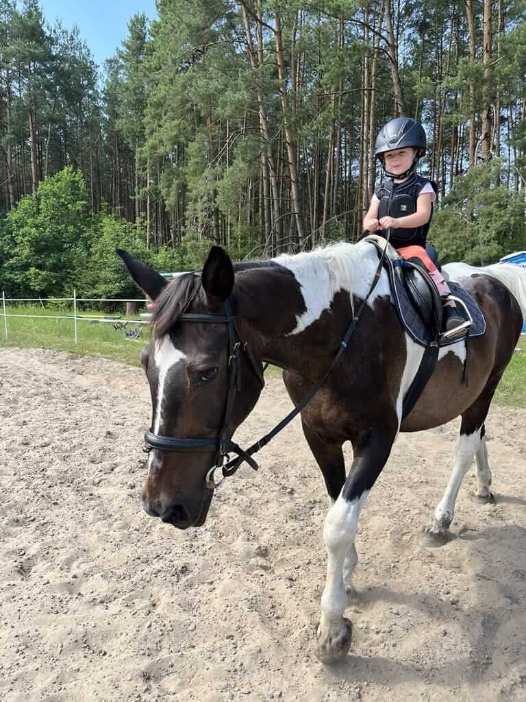 nauka jazdy konnej dla dzieci w agroturystyce z wyżywieniem w Borach Tucholskich